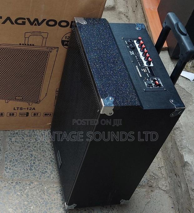 12inch Portable Powered Speaker With Wireless Microphone - main view