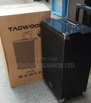 12inch Portable Powered Speaker With Wireless Microphone