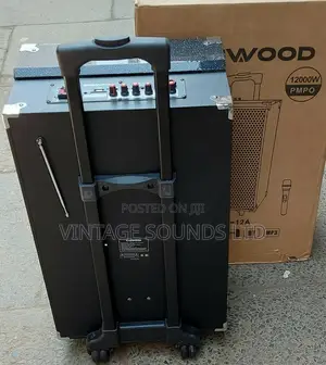12inch Portable Powered Speaker With Wireless Microphone