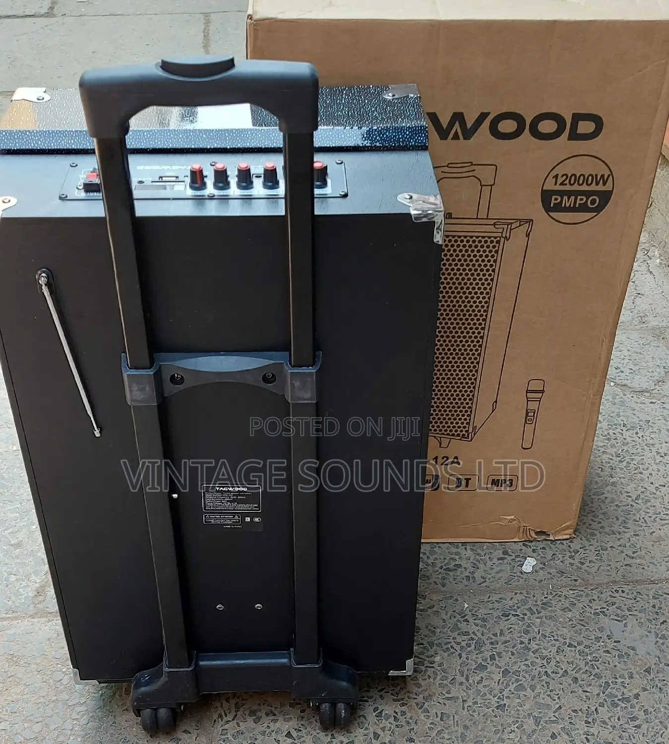 12inch Portable Powered Speaker With Wireless Microphone