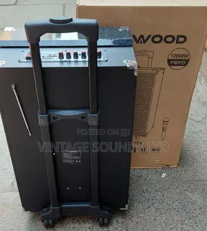 12inch Portable Powered Speaker With Wireless Microphone