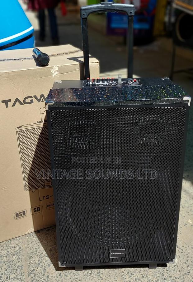 15inche Portable Powered Speakers