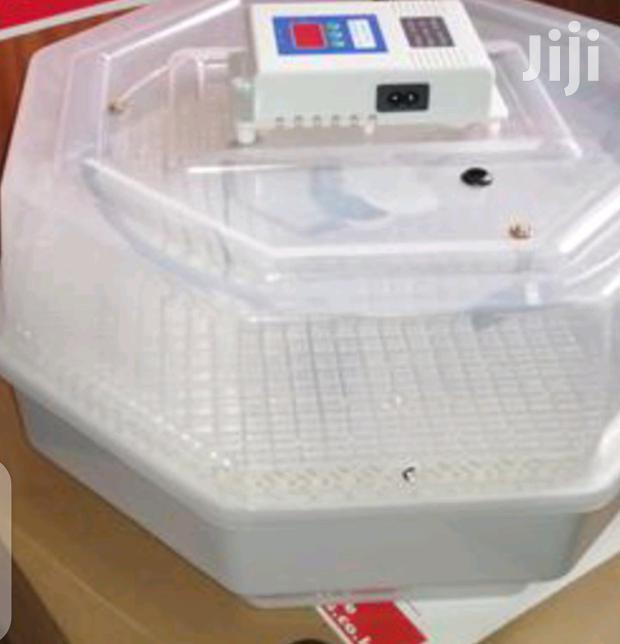 High Hatched 60 Egg Incubator - main view
