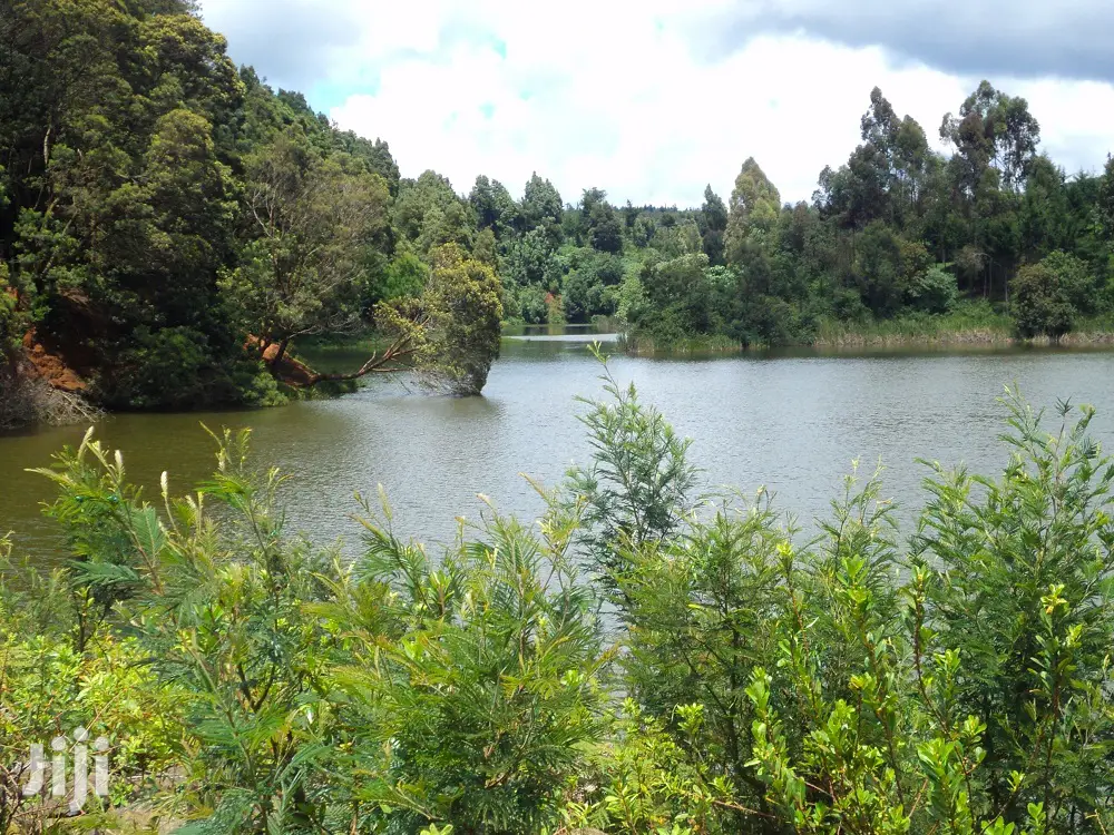 2 Acres Settlement and Agricultural/Farming Land