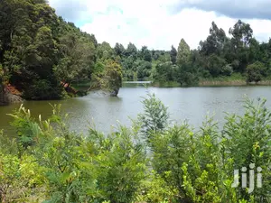 2 Acres Settlement and Agricultural/Farming Land