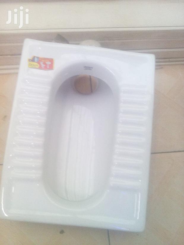 Asian Toilet Step