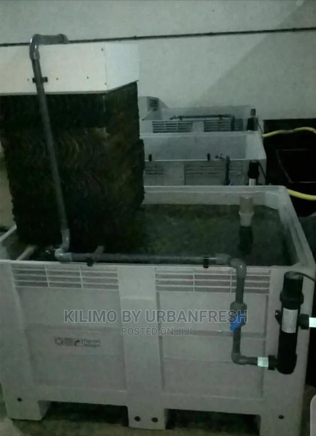 Fingerlings Hatchery Setup - main view