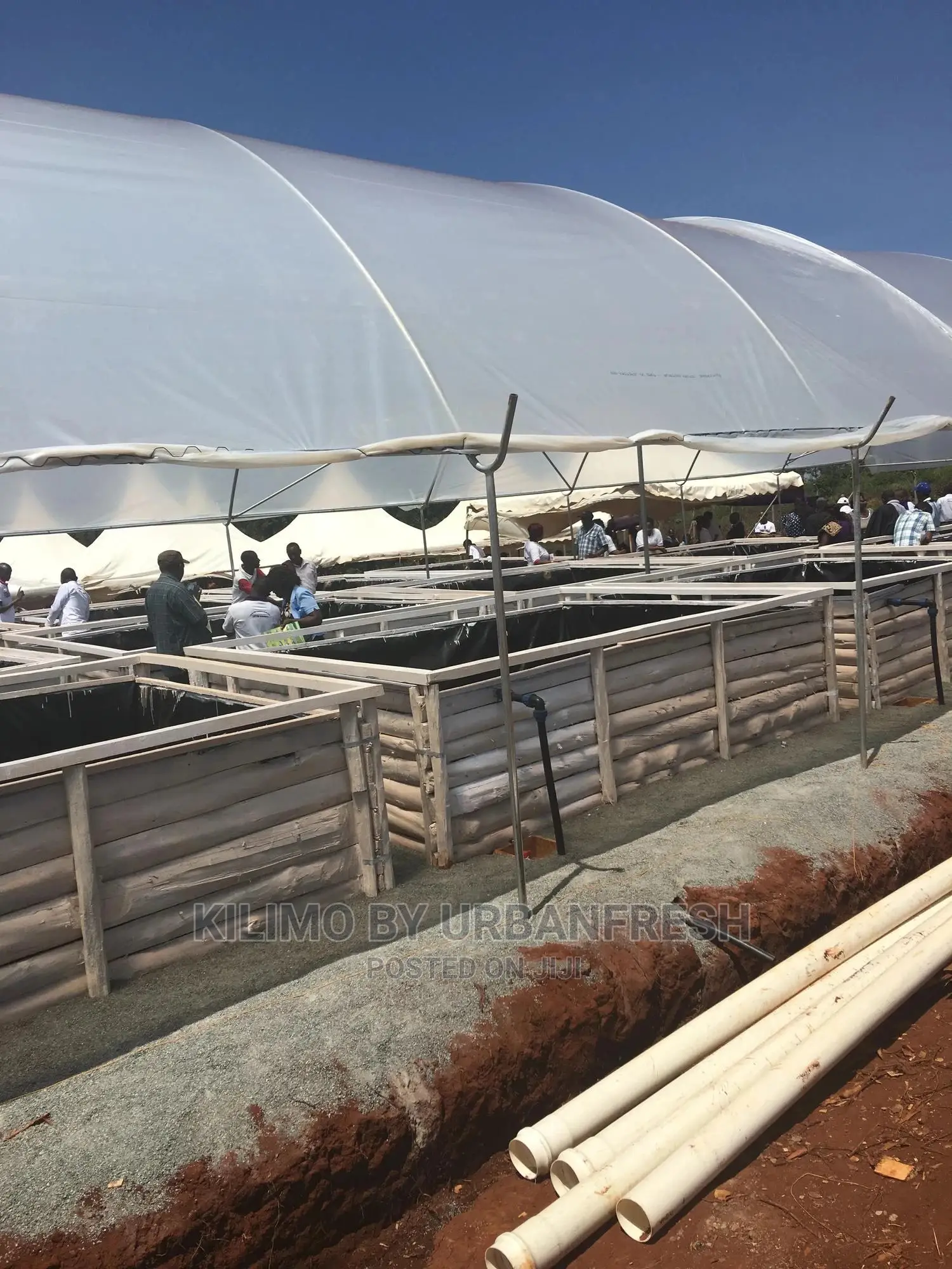 Raised Fish Ponds Construction