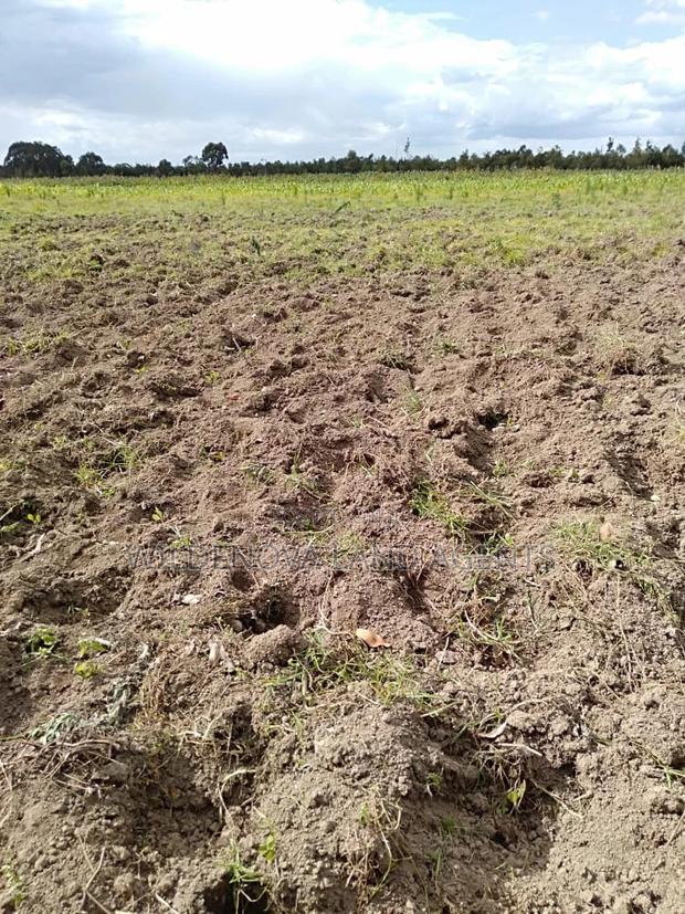Land On Sale At Munyaka Kinangop