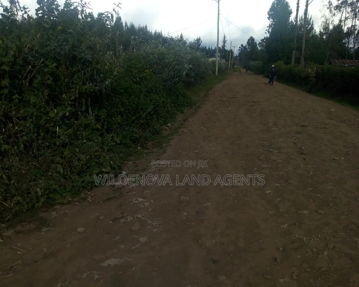 Plots On At Hato Kiambu Kinari