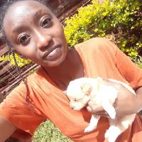 Charlene Chege logo