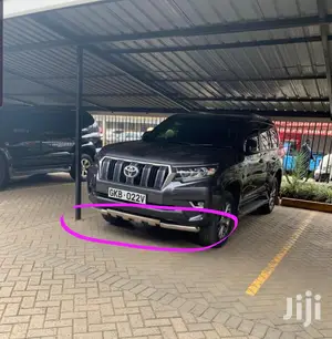 Prado 150 Bumper Protector Bullbar
