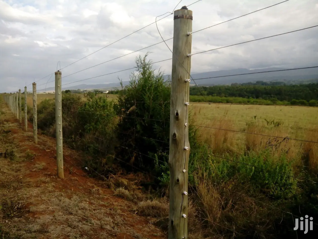 Termite Resistant Poles for Pole Houses and Cabins