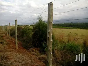 Termite Resistant Poles for Pole Houses and Cabins