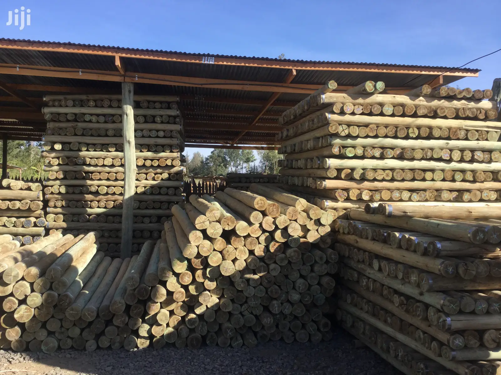 Termite Resistant Poles for Pole Houses and Cabins
