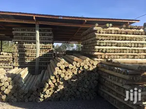 Termite Resistant Poles for Pole Houses and Cabins