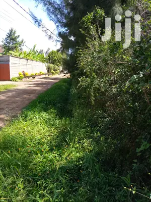 Prime 1/2 an Acre at Thome for Sale