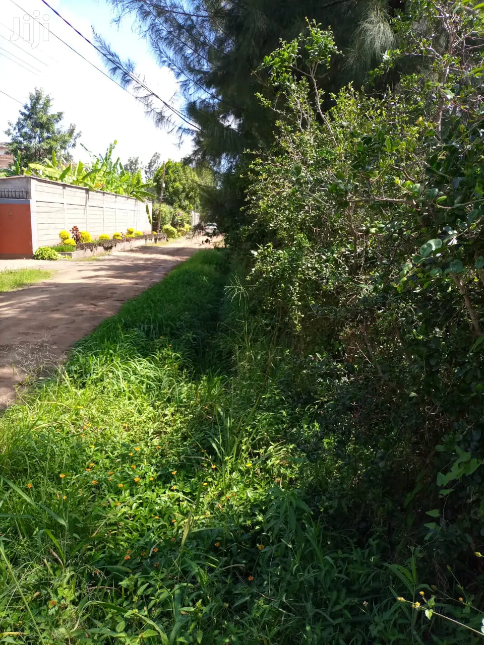 Prime 1/2 an Acre at Thome for Sale