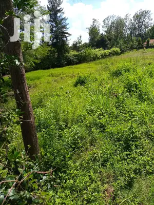 Prime 1/2 an Acre at Thome for Sale