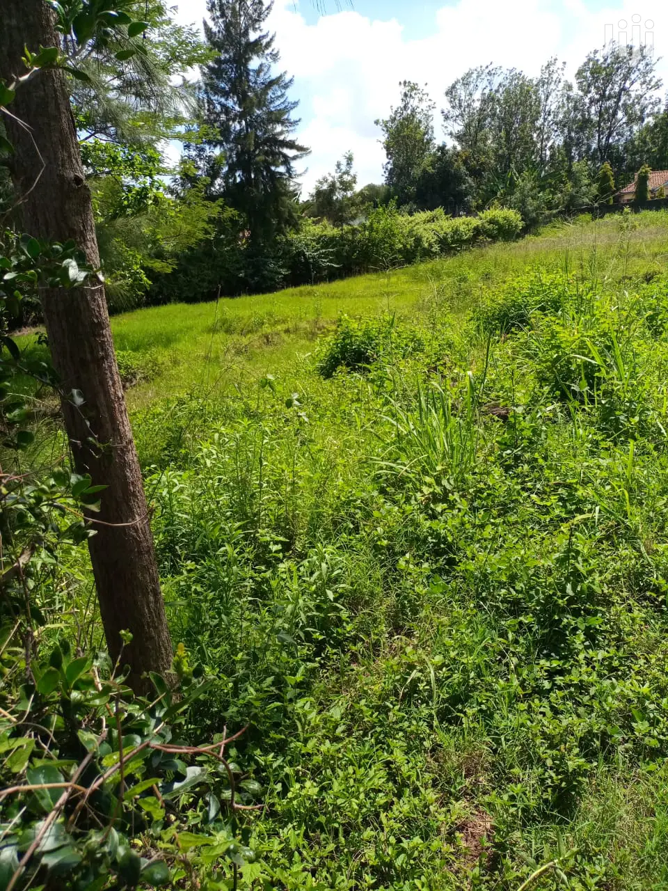 Prime 1/2 an Acre at Thome for Sale