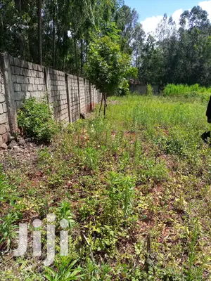 Prime 1/2 an Acre at Thome for Sale