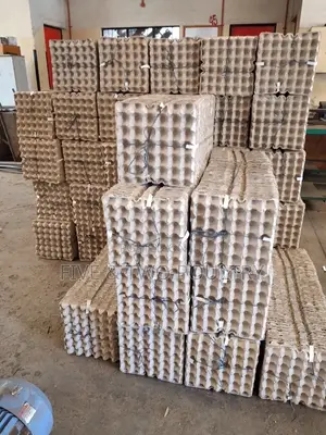 Paper Trays