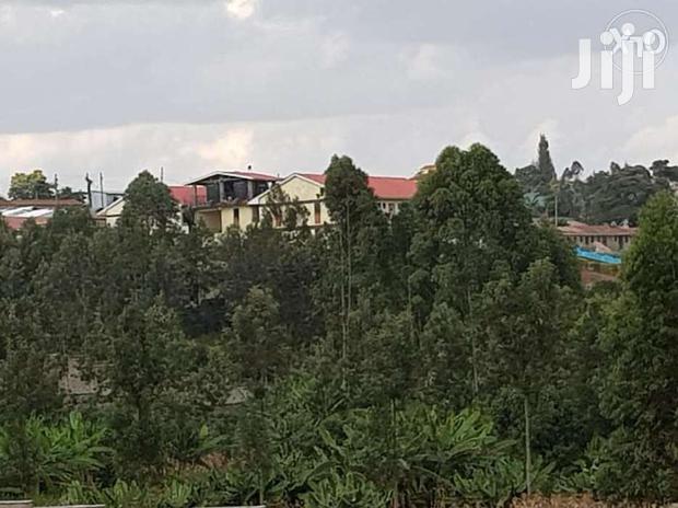 Mountain View Eni Plot 0.25 *2 = 0.5 Acres - thumbnail 4