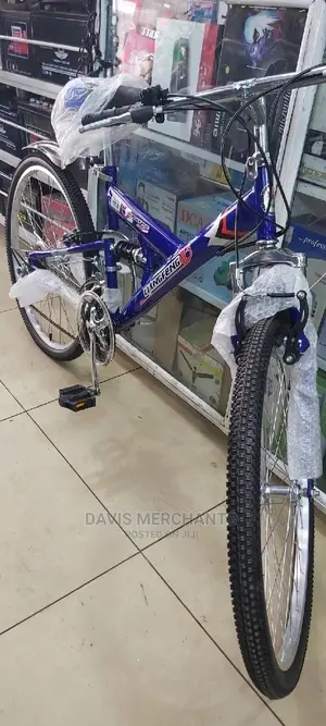 Nice Phonex Size 26 Bike With Middle Shock and Gear