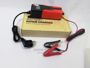 Battery Smart Charger 6v/12v