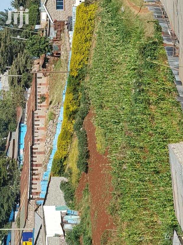 Mountain View Eni Plot 0.25 *2 = 0.5 Acres - thumbnail 6