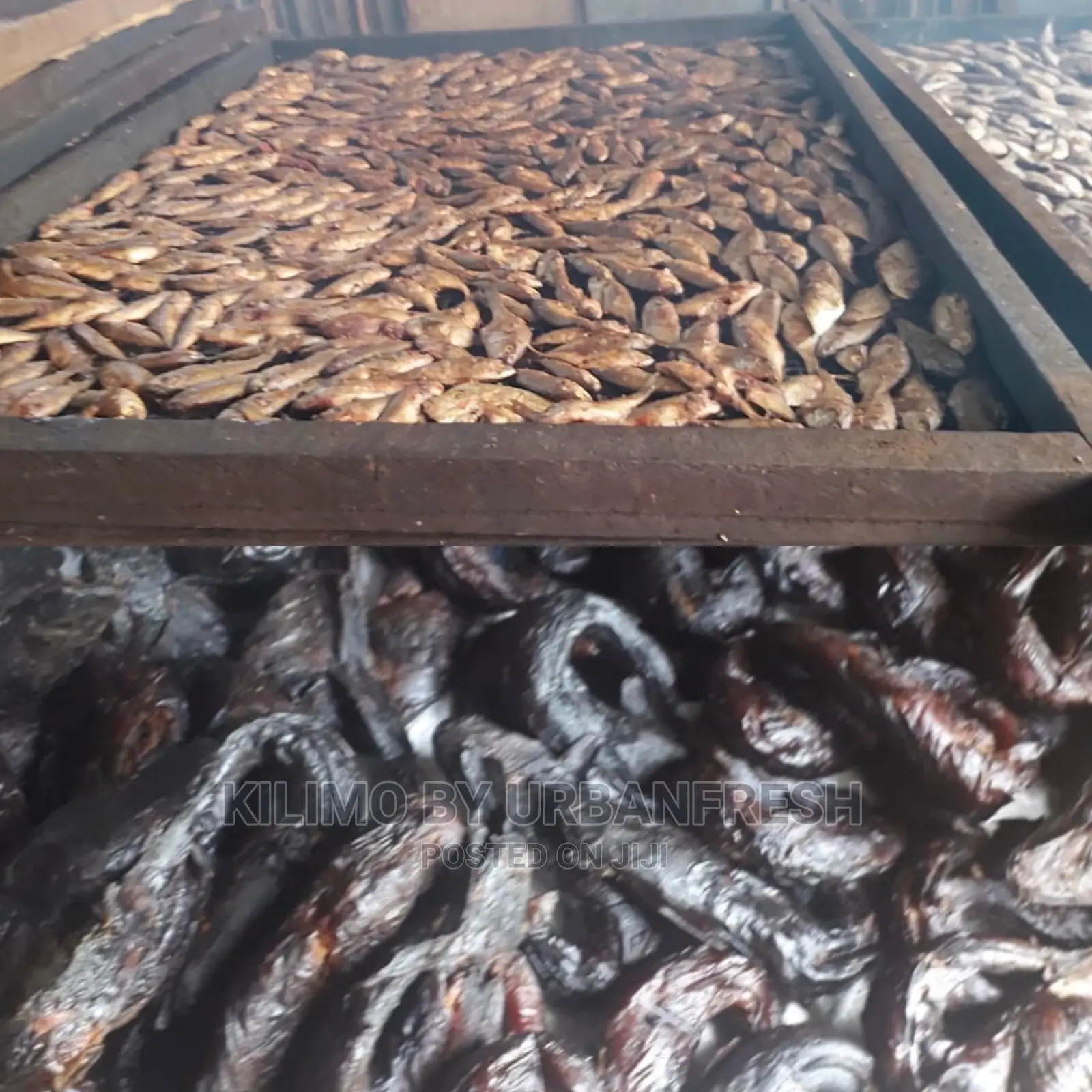 Smoking Services for Fish