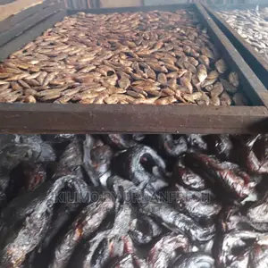 Smoking Services for Fish