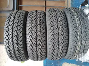 Petromax Tires Sizes 205/70r15 A/T Radial Tubeless.