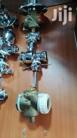 Flushing Valves