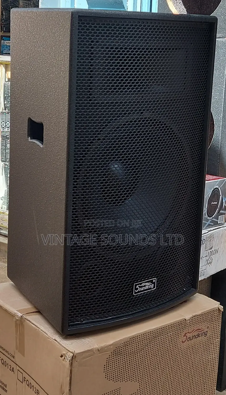 Soundking Wooden Speaker 3000watts