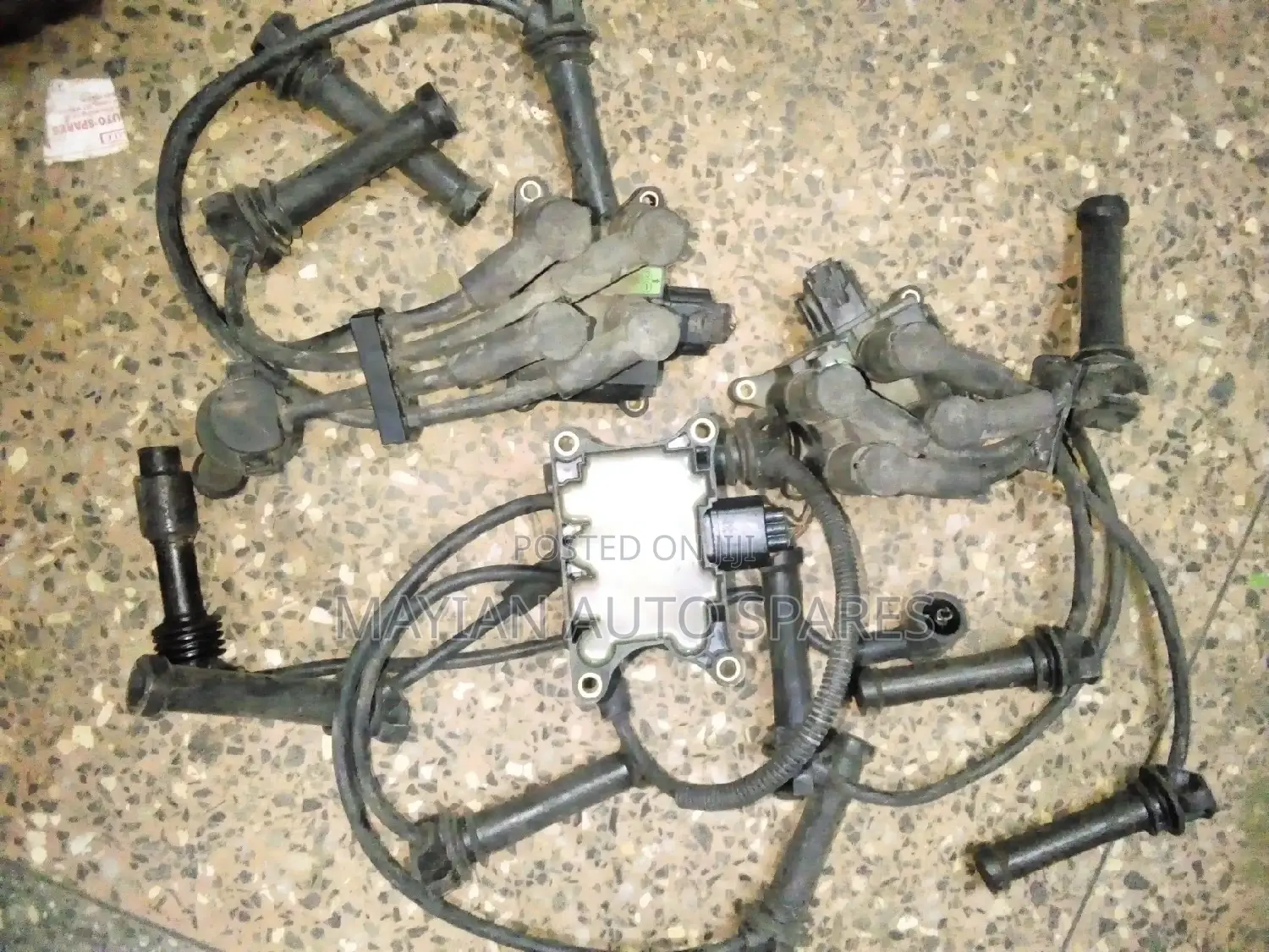 Lead Wires and Coil Mazda Tribute.