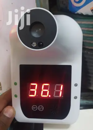 Wall Mounted Thermometer P-100 Plus