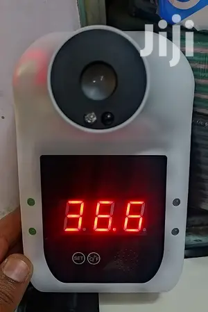 Wall Mounted Thermometer P-100 Plus