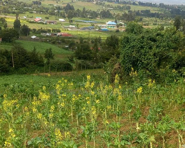 Land On Sale At Ihindu Naivasha