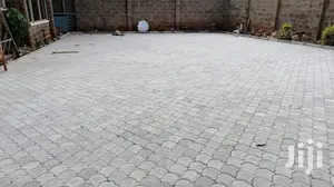 High Quality Paving Blocks/ Cabros