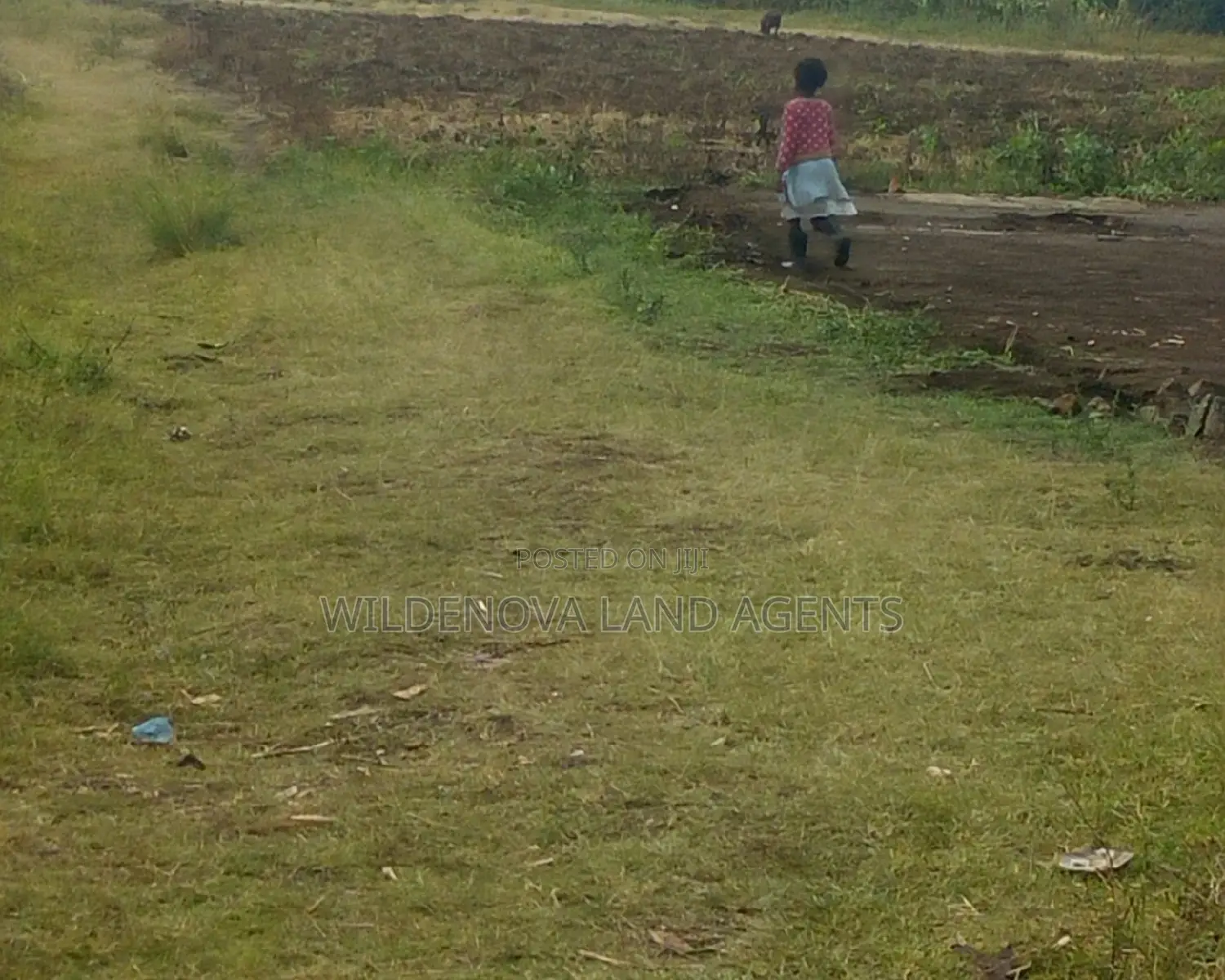 Land on Sale at Nyamathi Naivasha