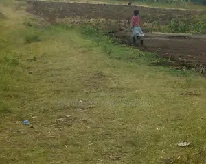 Land on Sale at Nyamathi Naivasha