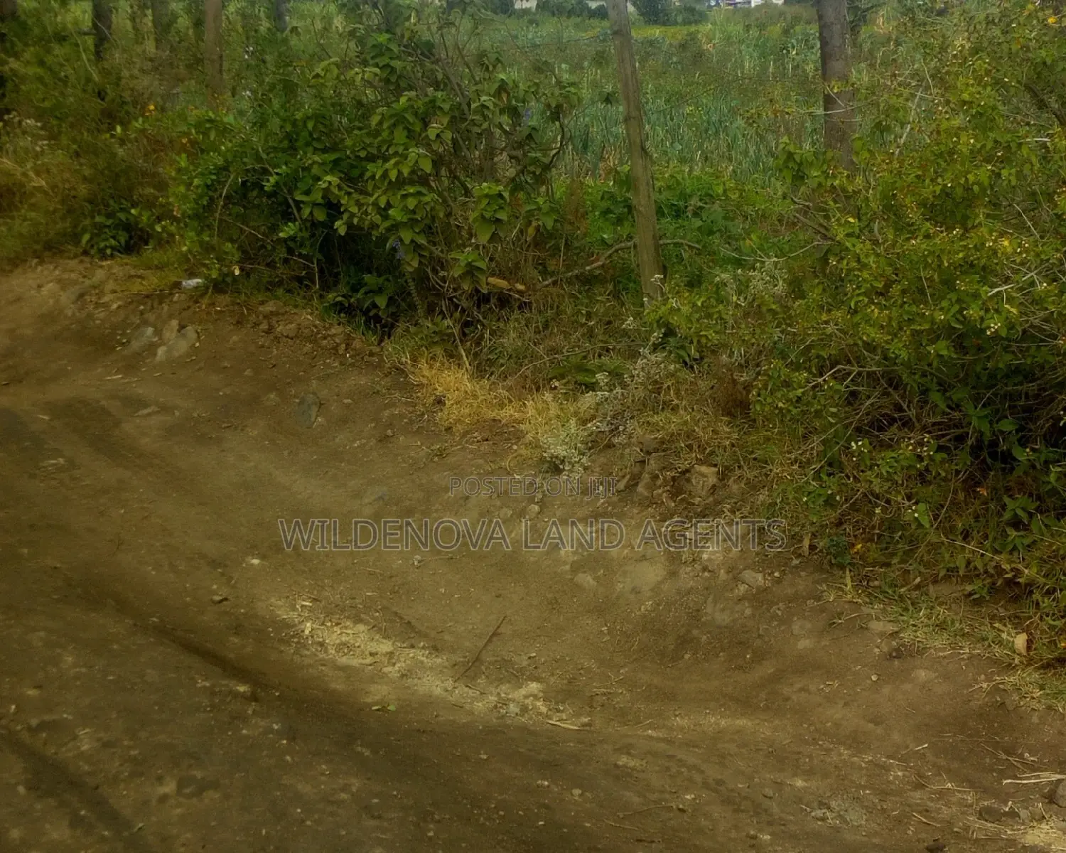 Land on Sale at Nyamathi Naivasha