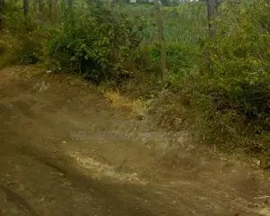 Land on Sale at Nyamathi Naivasha