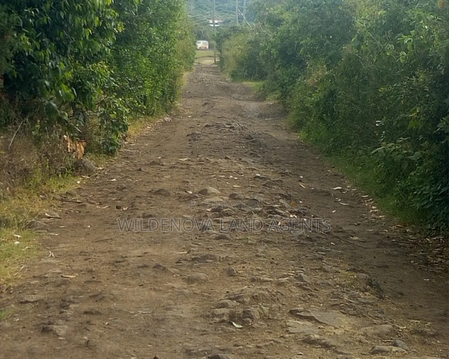 Land on Sale at Nyamathi Naivasha