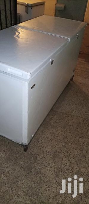 Big Double Door Freezer - main view