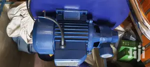 Water Pump 1.0 Hp Canam