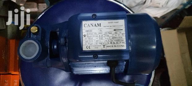 Water Pump 1.0 Hp Canam - main view