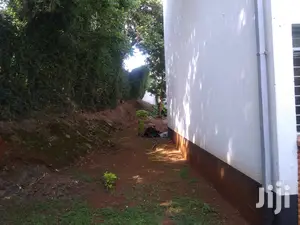 7bedroomed Spacious Maisonette,1br Dsq to Let Muthaiga