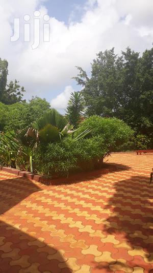 For Sale 4 Units of 2brms Malindi